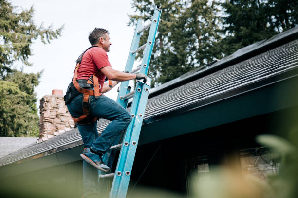 Best Gutter Installation and Repair  in Bonifay, FL